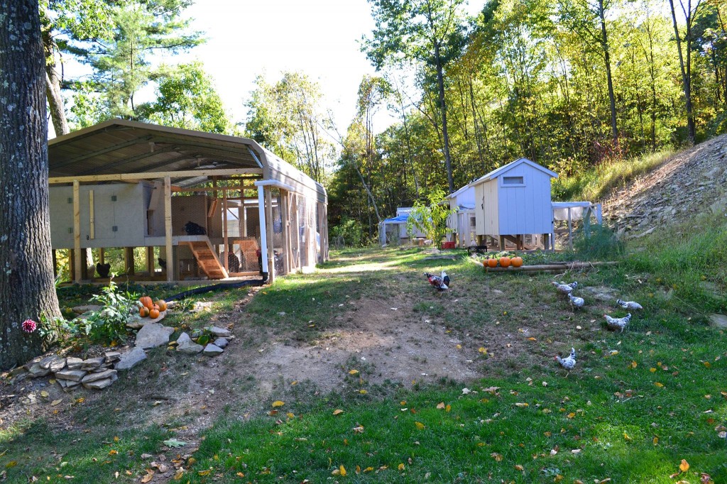 Chicken Coop Custom Carport Chicken Coop Custom Carports
