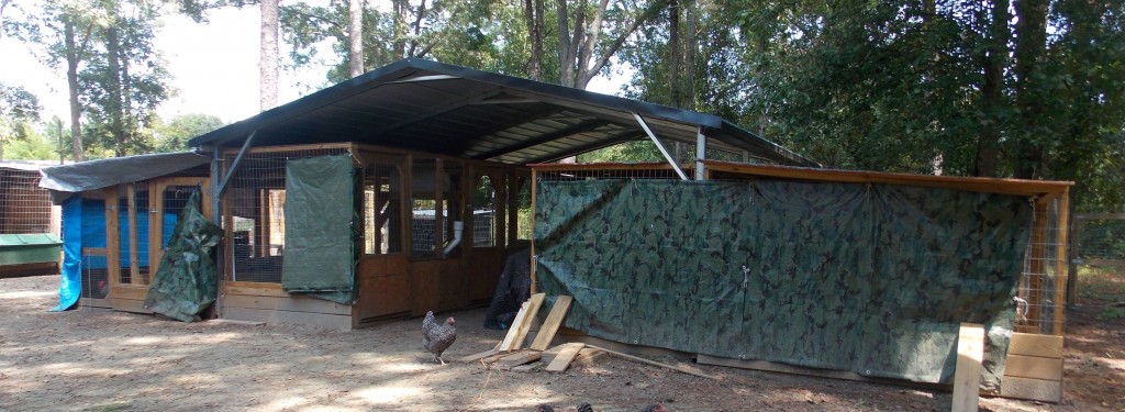 Chicken Coop Custom Carport Chicken Coop Custom Carport