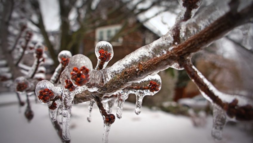 Protect your vehicle from harmful ice with one of our metal carports!