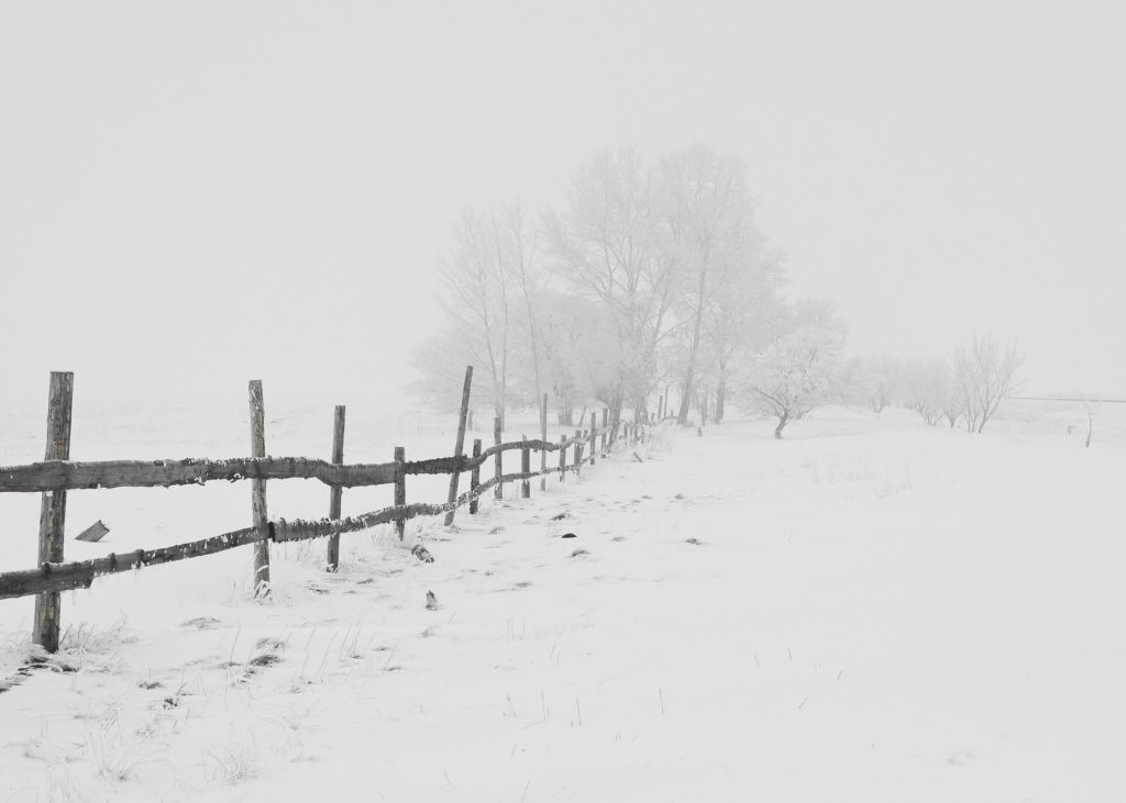 Snow covered country rode and fence