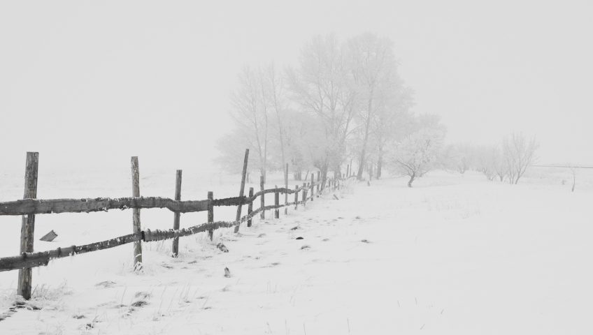 Snow covered country rode and fence